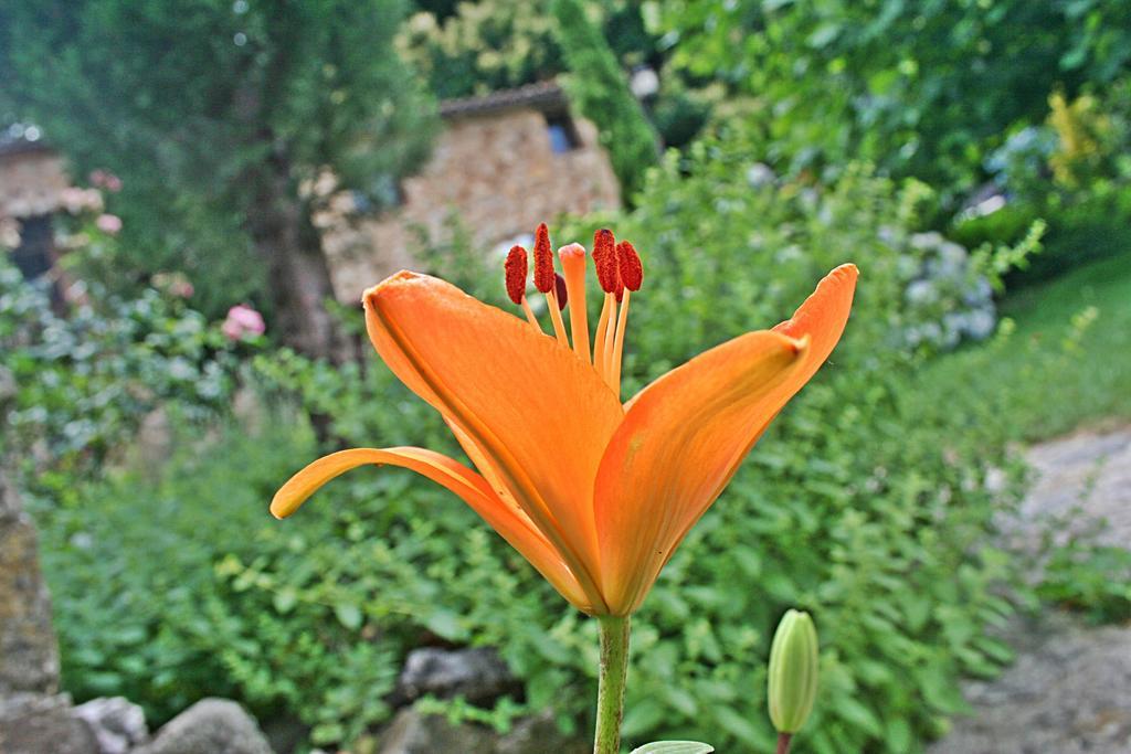 Finca El Carpintero 젤티 외부 사진