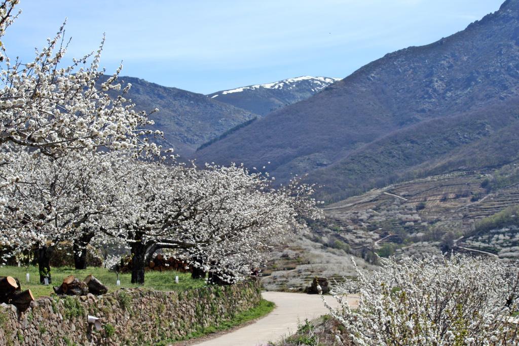 Finca El Carpintero 젤티 외부 사진