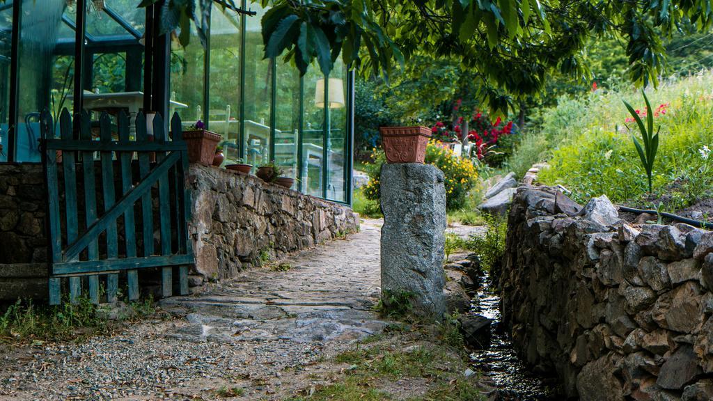 Finca El Carpintero 젤티 외부 사진