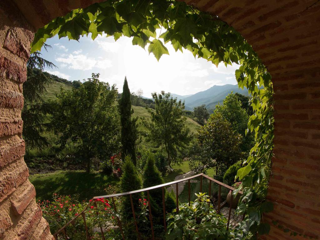 Finca El Carpintero 젤티 외부 사진